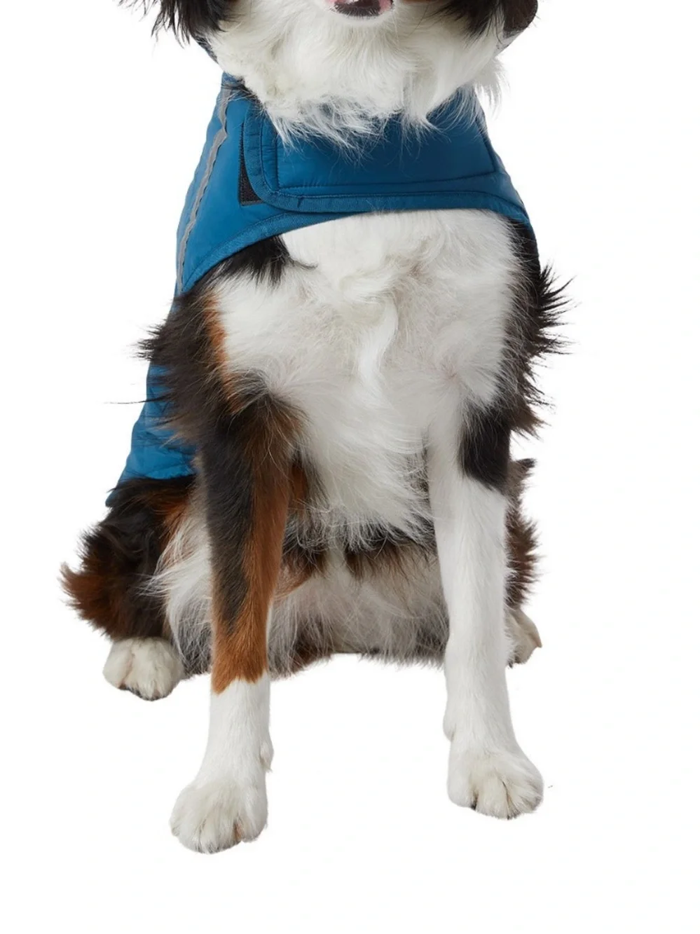 32 Degrees Blue Dog Coat - Quilted Weather Jacket for Dogs